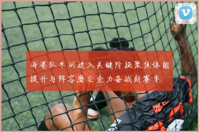 海港队冬训进入关键阶段聚焦体能提升与阵容磨合全力备战新赛季