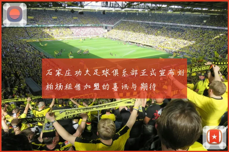 石家庄功夫足球俱乐部正式宣布刘柏杨租借加盟的喜讯与期待