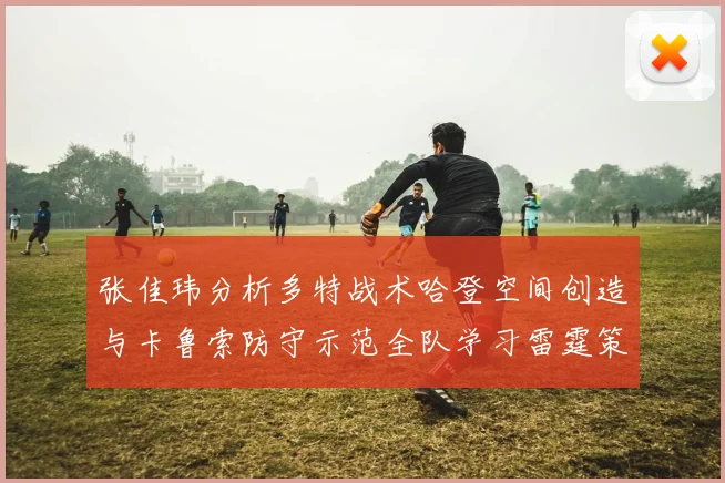 张佳玮分析多特战术哈登空间创造与卡鲁索防守示范全队学习雷霆策略