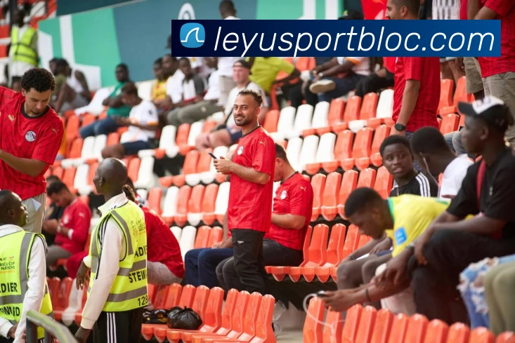 乐鱼体育平台生态图