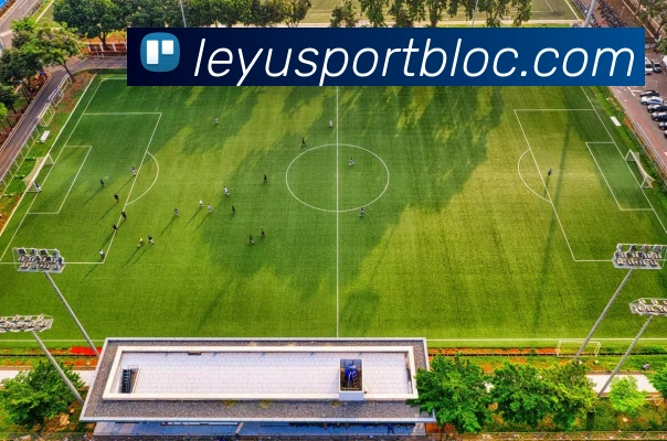 乐鱼体育APP 封面图